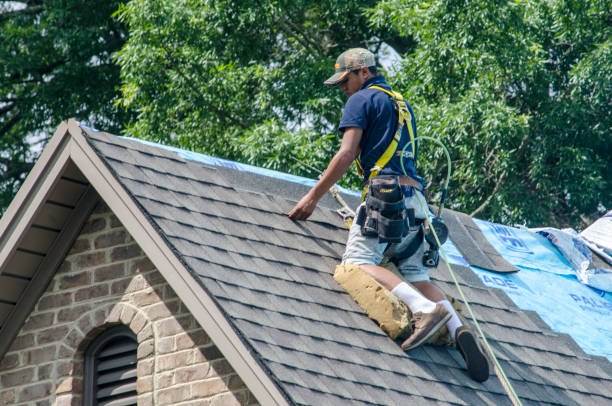 Professional Roofing Contractor in San Mateo, CA